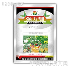 ���A��(qi��ng)-��(qi��ng)����