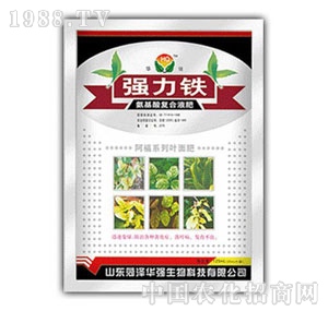 ���A��(qi��ng)-��(qi��ng)���F