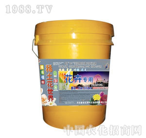 ����-ϡ��������