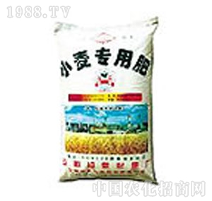 ���ܻ���-С�����÷�