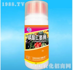 �����d�r-��������