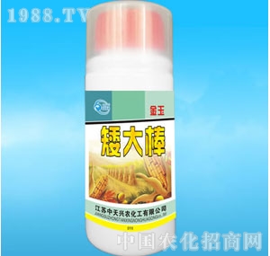 �����d�r-�����