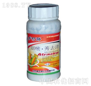 �����r(n��ng)��-���׌��ó��݄�