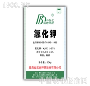 �I��⛷�-�Ȼ��