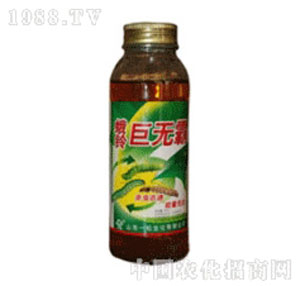 һ��-�ޟo��