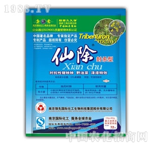 ����-�ɳ�