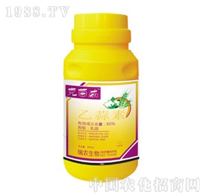 �㽭��¡-�˾���