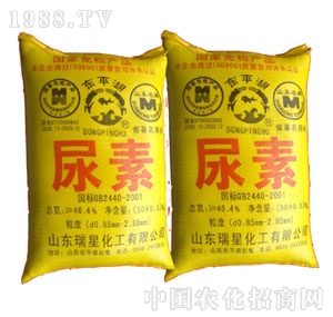 ���Ǽ��F(tu��n)-����