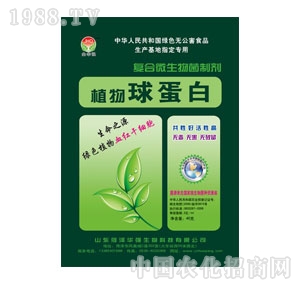 ���A��(qi��ng)-ֲ���򵰰�