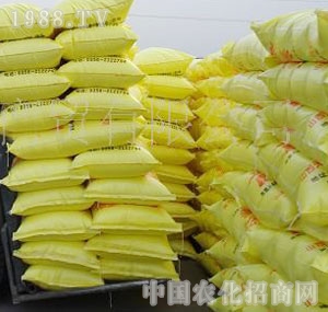 �x�S-���w������