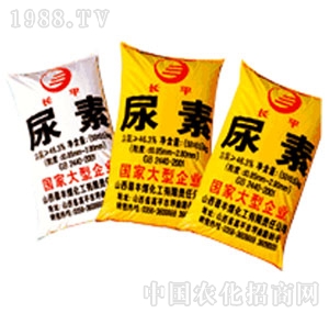 �x�S-С�w������