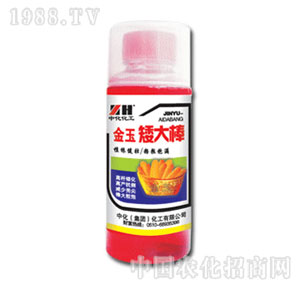 �л�����-���񰫴��