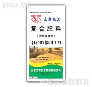 ��������-���ܾ���͏ͺϷ���25-12-8