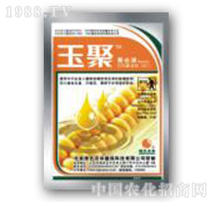 �Gɫ�r(n��ng)�A-���������՚�