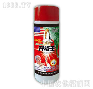 ������-����(j��)��