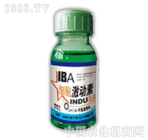 ������-����������