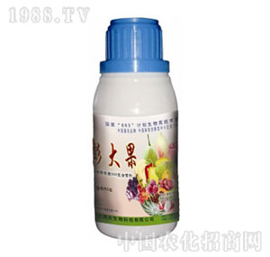 ����-ϡ������