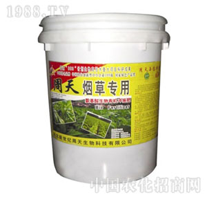 ����-���݌���