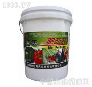 ����-�ѹ��ʄ���