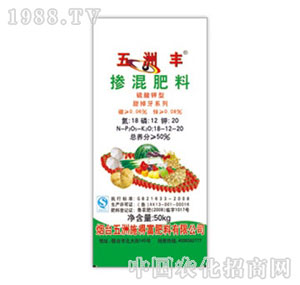 �����S-50%��������������