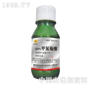 �f���޻�-20%�������