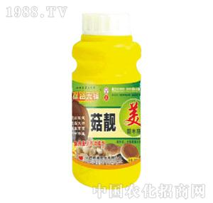 ̽·���h-���n��