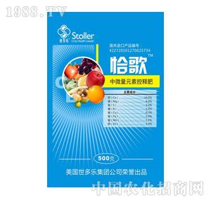 ����-ǡ��