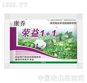 ����-�s��1+1