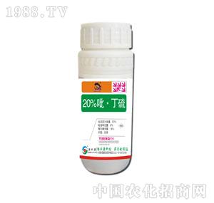 ��SԴ-20%������