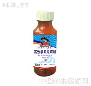 ��SԴ-��?f��)����^��-С������