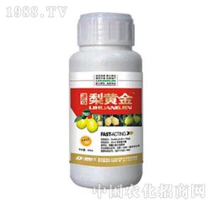 �²�����-���S��