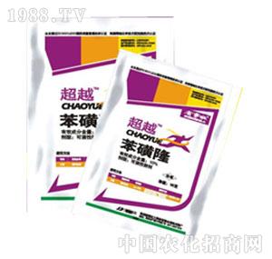 �²�����-��Խ