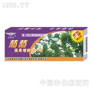 ���v����-���������������