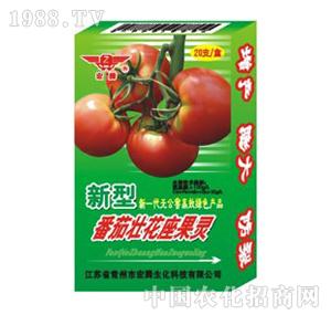 ���v����-���щѻ�����