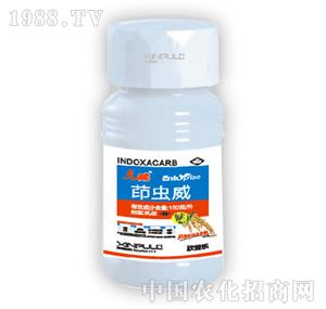 ���՘�-���x��