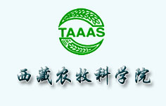 �������΅^(q��)�r(n��ng)���ƌW(xu��)Ժ