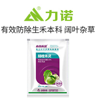 �������Z�r�I(y��)���g���޹�˾