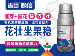 �Ĵ������r���Ƽ����޹�˾