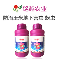 �Ϻ��Խ�r�I(y��)�Ƽ����޹�˾