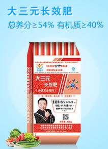 ɽ�����r�����＼�g���޹�˾